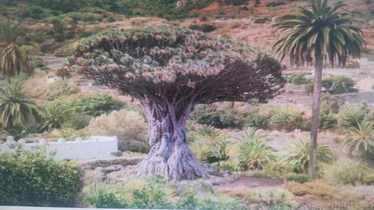 Tradicional Casa Canaria Con Piscina Y Vistas Al Teide Ікод-де-лос-Вінос Екстер'єр фото
